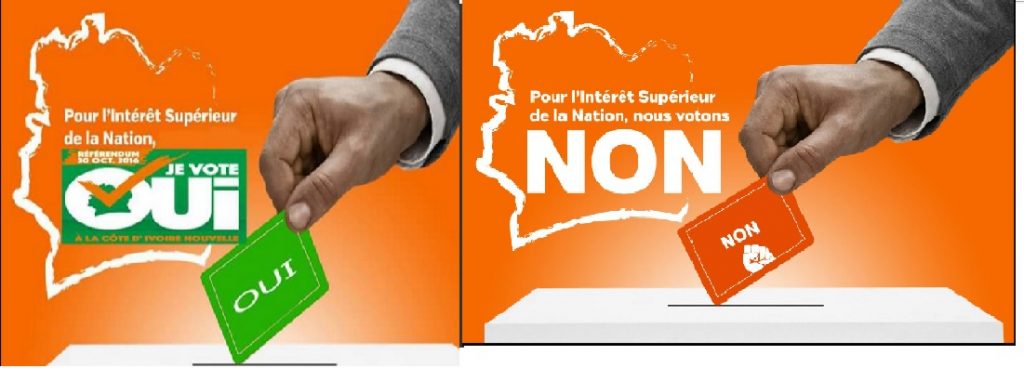 Article : Nouvelle Constitution : la campagne bat son plein sur twitter